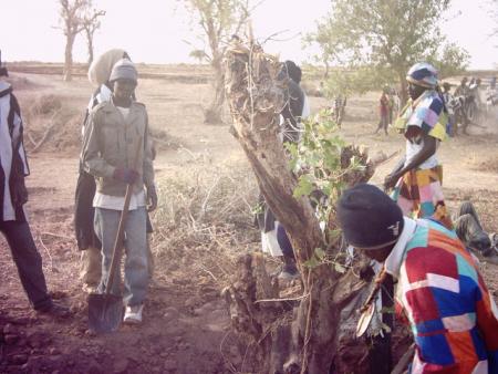 Talibes Cheikh Ndiguel FALL a Xelcom